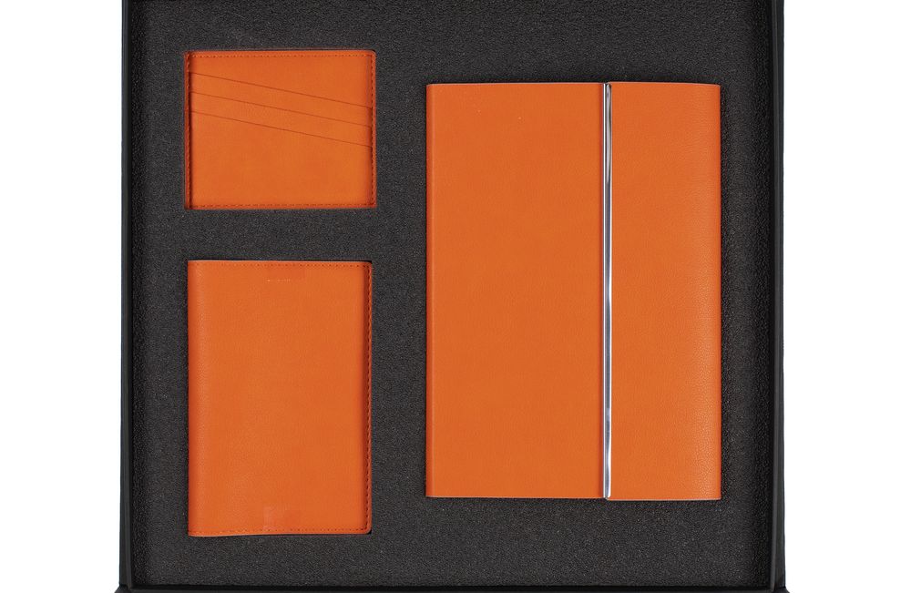 Набор Petrus Flap, оранжевый / Миниатюра WWW (1000)