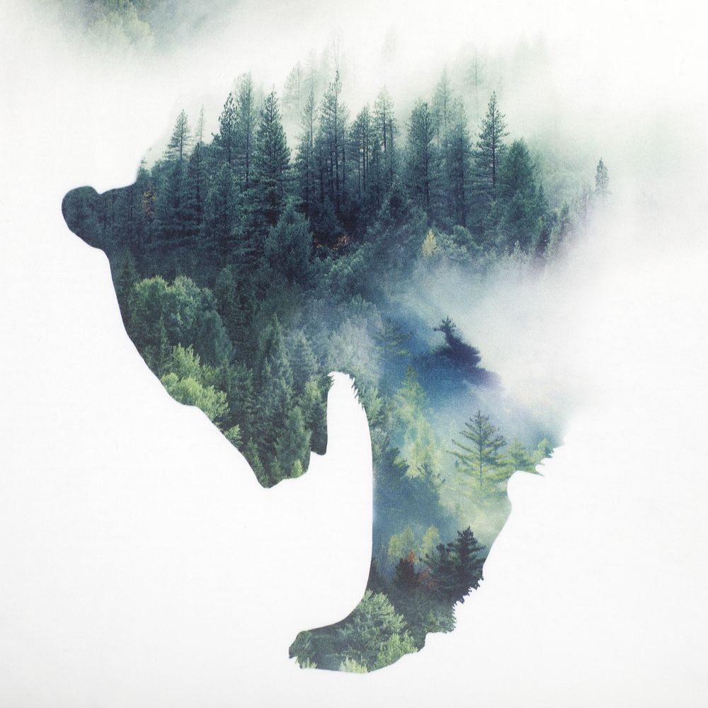 Футболка Siberian Bro, белая / Миниатюра WWW (1000)