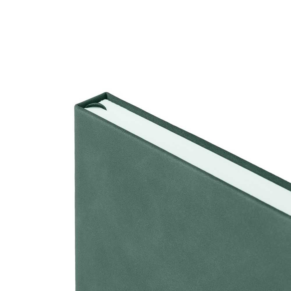 Ежедневник Horizon, недатированный, серый с зеленым / Миниатюра WWW (1000)