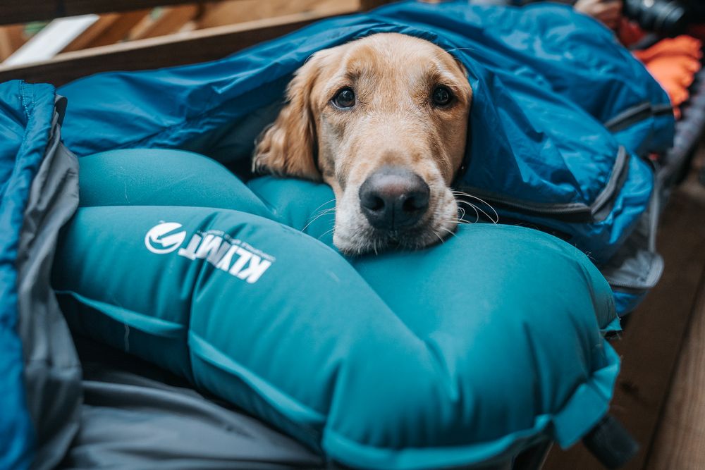 Надувная подушка Pillow X Large, бирюзовая / Миниатюра WWW (1000)