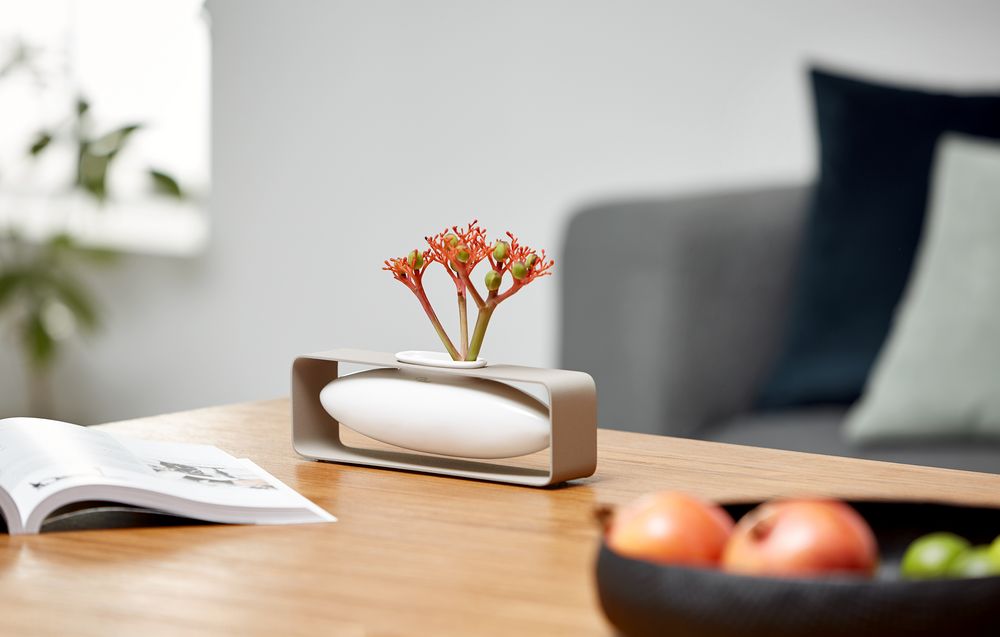 Ваза Float, горизонтальная / Миниатюра WWW (1000)