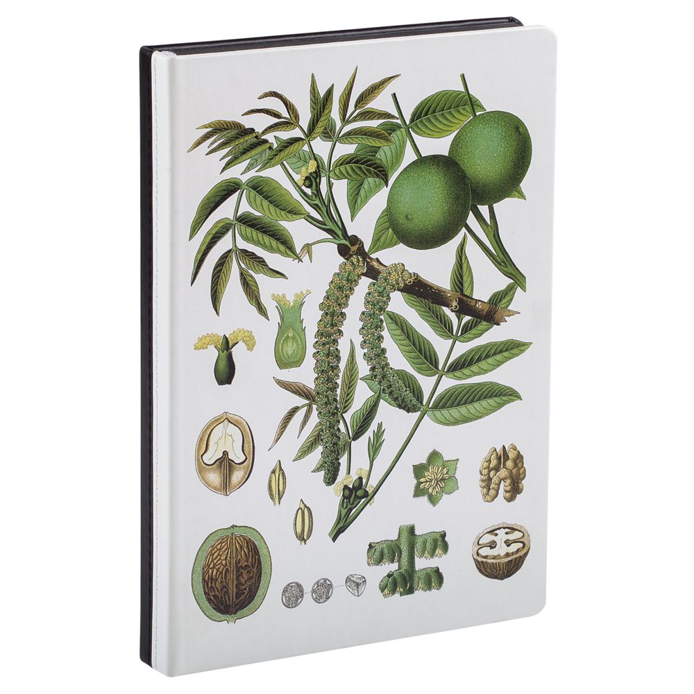 Ежедневник «Грецкий орех», недатированный / Миниатюра WWW (1000)