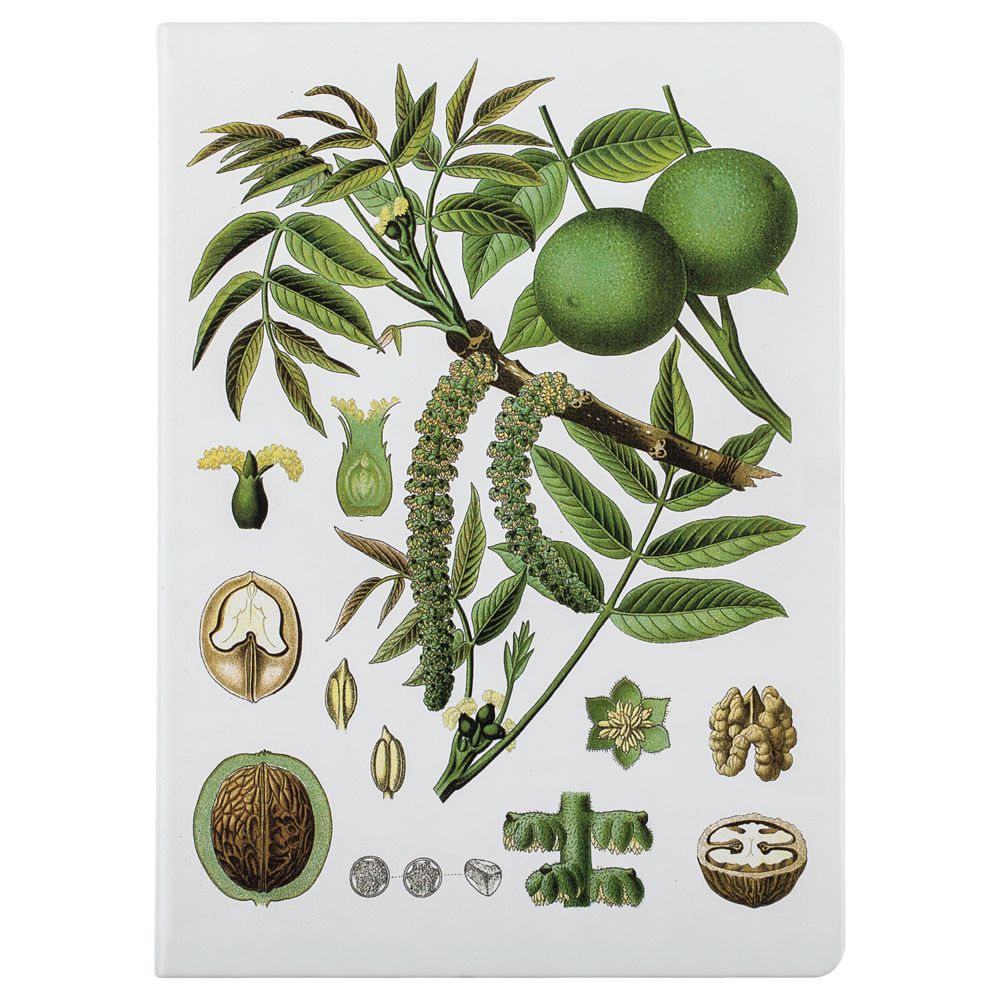 Ежедневник «Грецкий орех», недатированный / Миниатюра WWW (1000)