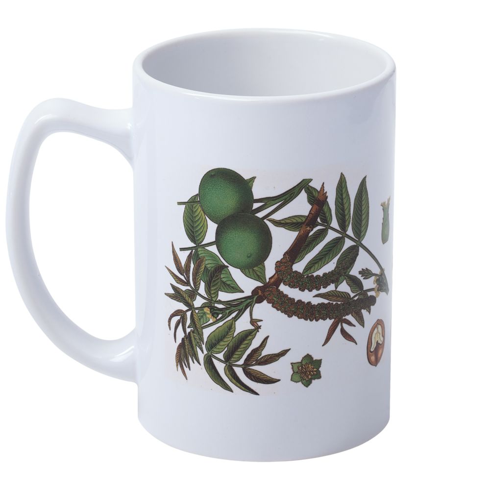 Кружка «Грецкий орех» / Миниатюра WWW (1000)