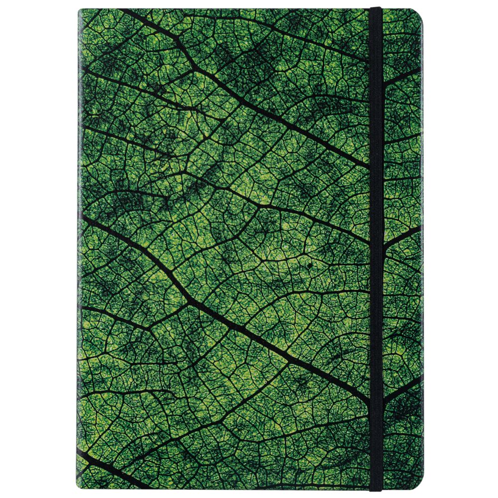 Ежедневник Evergreen, недатированный / Миниатюра WWW (1000)