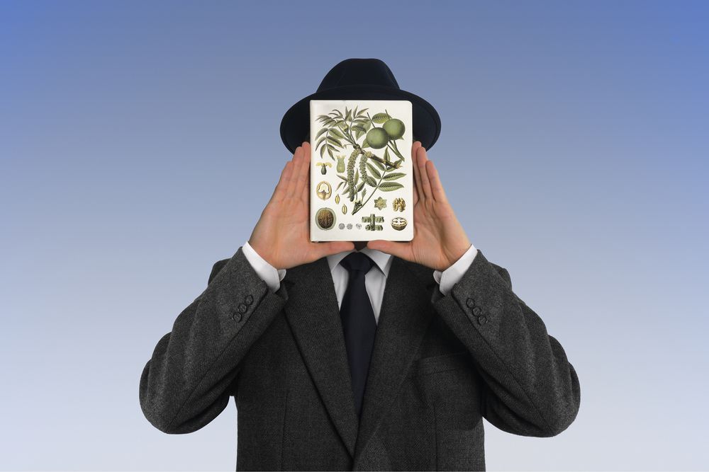 Ежедневник «Грецкий орех», недатированный / Миниатюра WWW (1000)