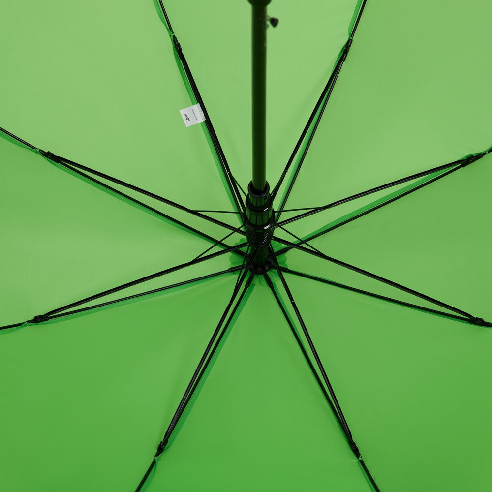 Зонт-трость Standard, зеленое яблоко / Миниатюра WWW (1000)