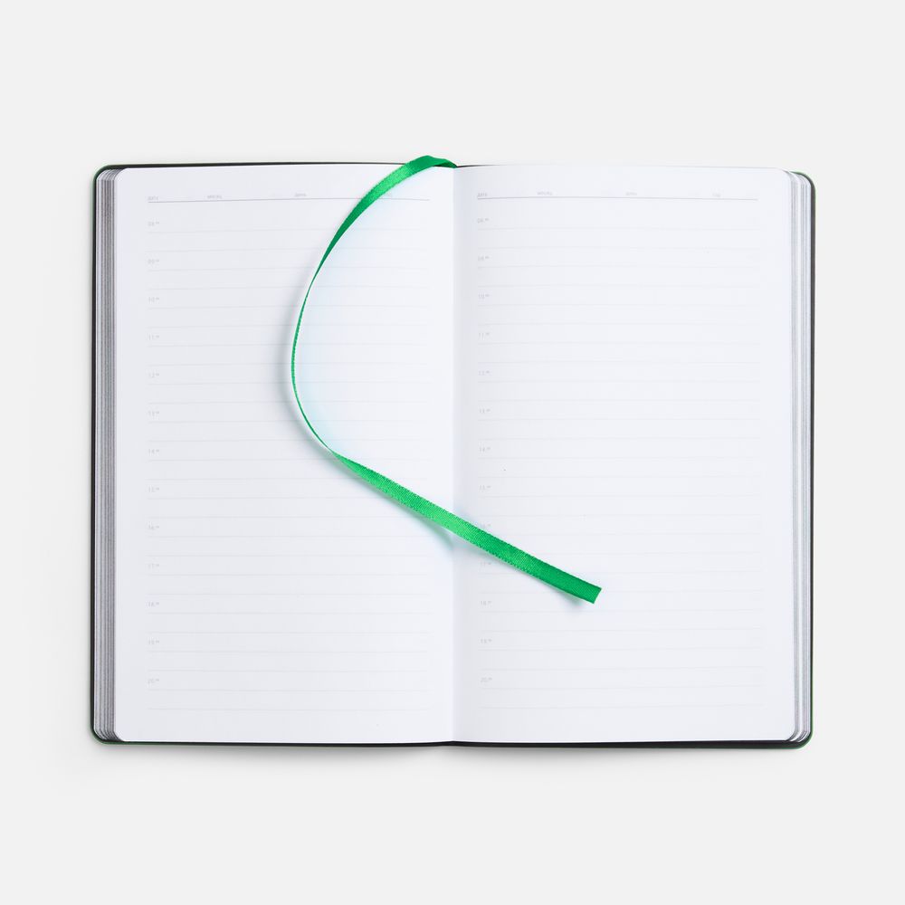 Ежедневник Trait, недатированный, черный с зеленым / Миниатюра WWW (1000)