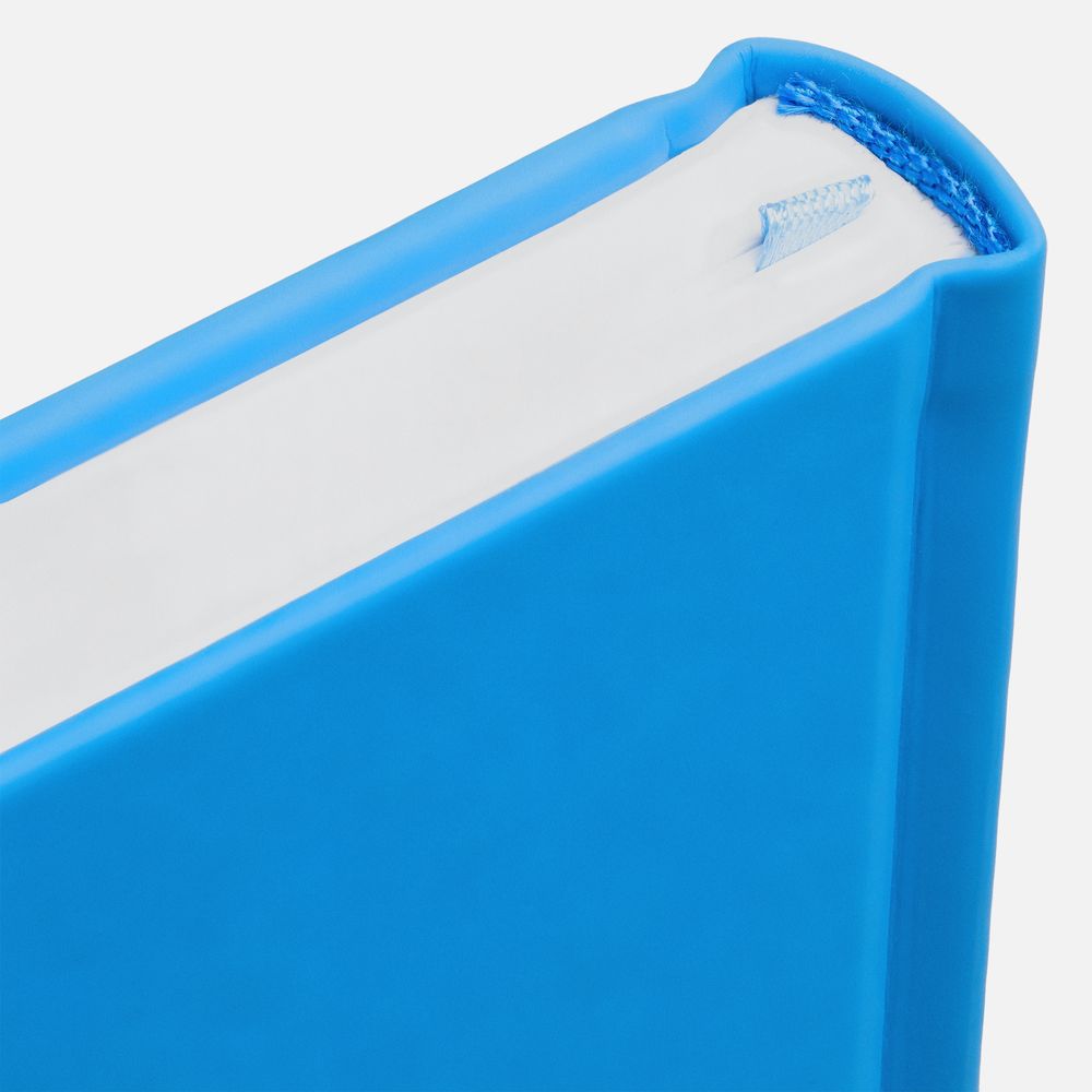 Ежедневник Favor, недатированный, голубой / Миниатюра WWW (1000)