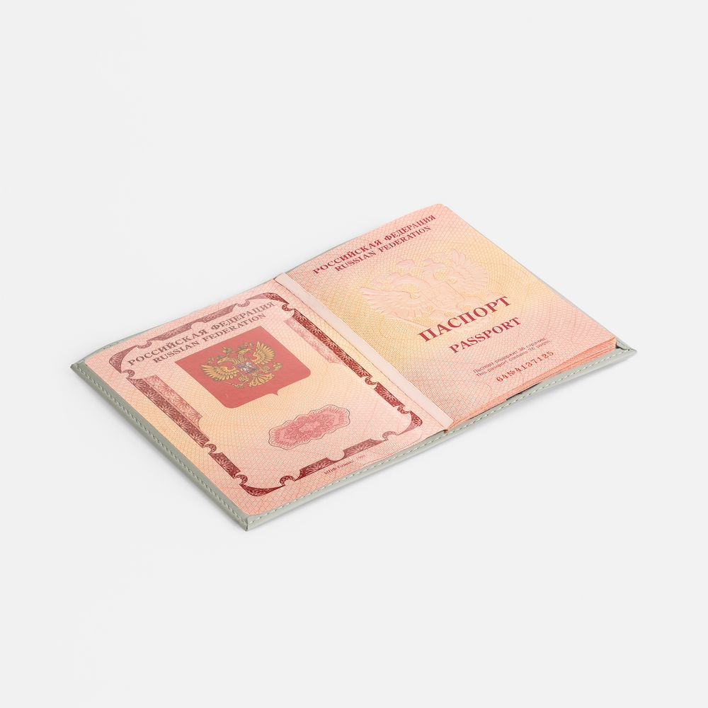 Обложка для паспорта Shall, ver. 2, серая / Миниатюра WWW (1000)