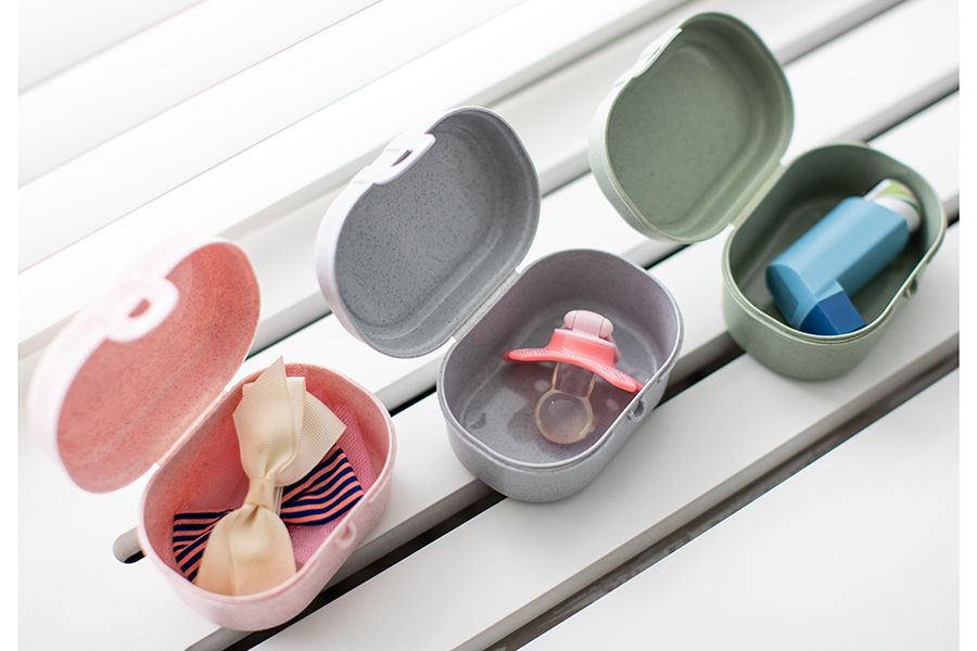 Ланчбокс Pascal Mini Organic, зеленый / Миниатюра WWW (1000)