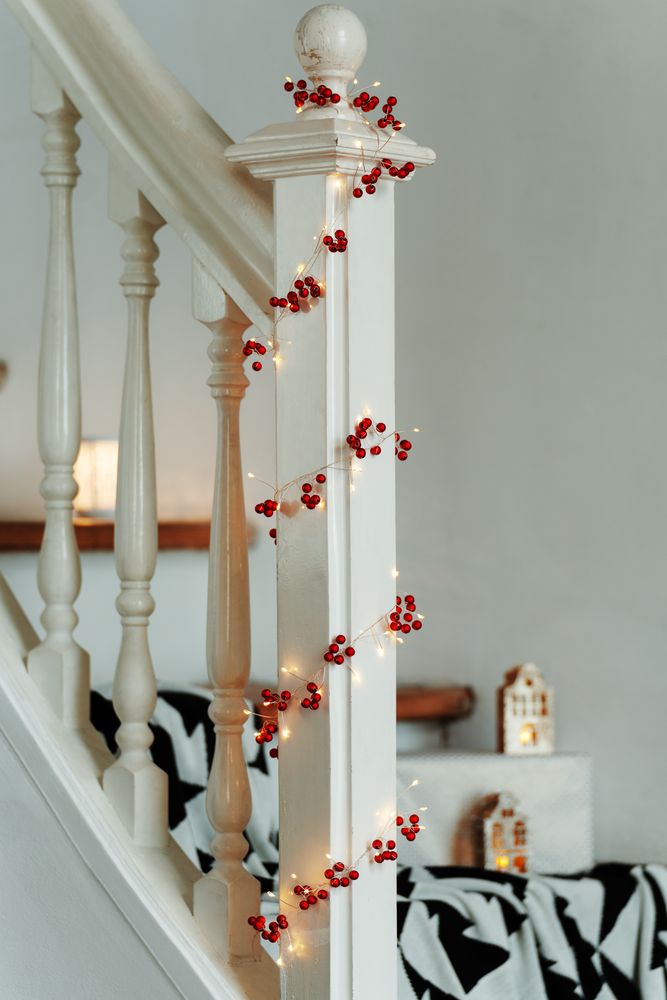 Светодиодная гирлянда Berry Bright / Миниатюра WWW (1000)