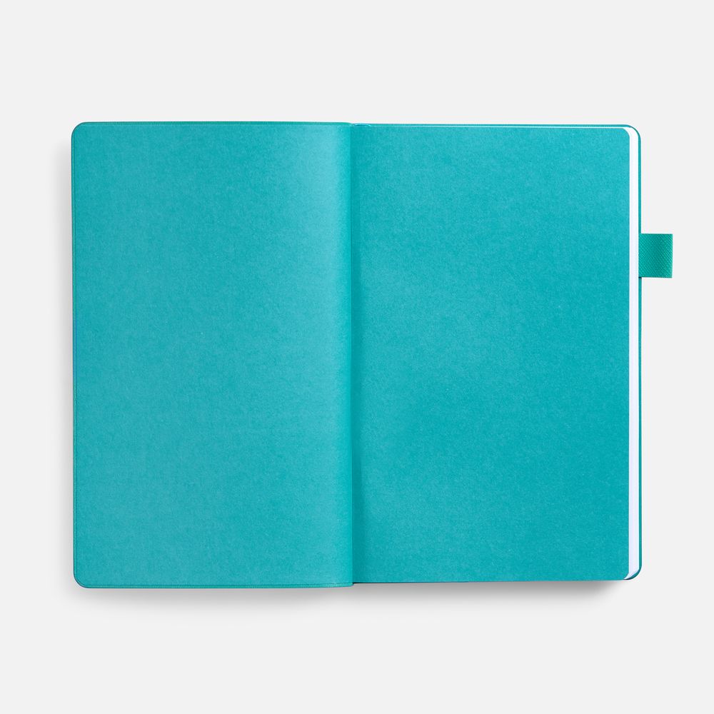 Ежедневник White Shall, недатированный, бело-бирюзовый / Миниатюра WWW (1000)