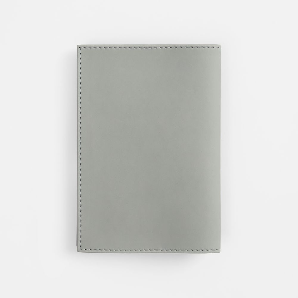 Обложка для паспорта Shall, ver. 2, серая / Миниатюра WWW (1000)