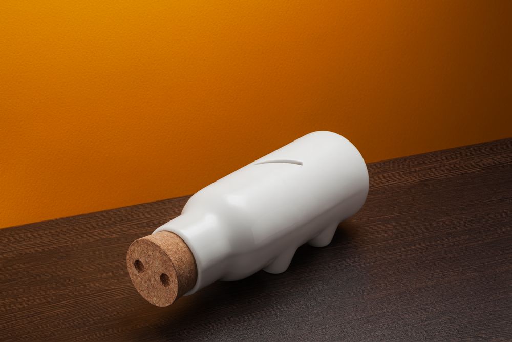 Копилка My Lavish Pig, белая / Миниатюра WWW (1000)