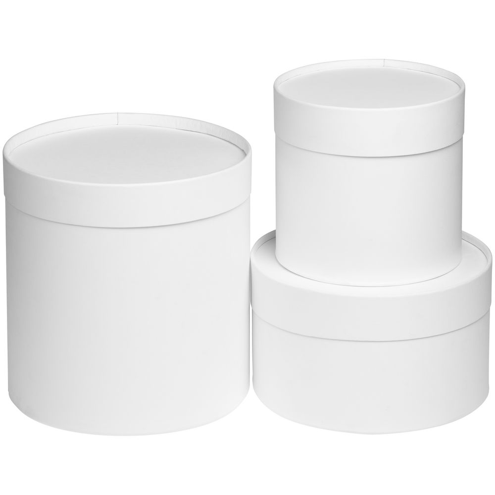 Коробка Circa L, белая / Миниатюра WWW (1000)