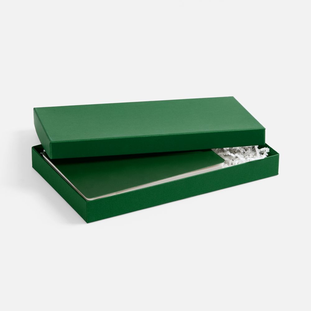 Коробка Horizon, зеленая / Миниатюра WWW (1000)