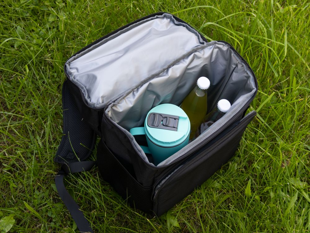 Терморюкзак FoldTrek, черный / Миниатюра WWW (1000)