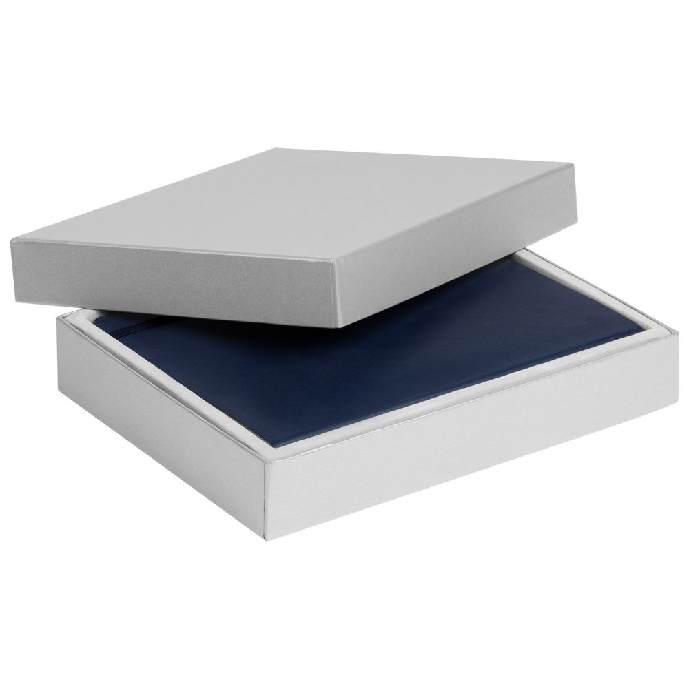 Коробка Ridge для ежедневника, календаря и ручки, серебристая / Миниатюра WWW (1000)