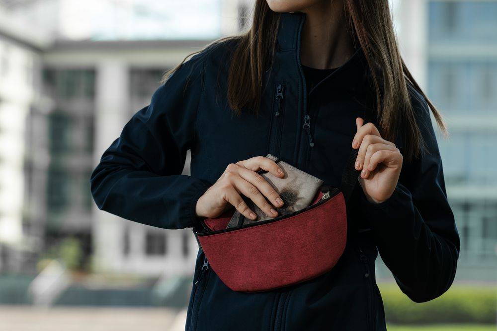 Поясная сумка Handy Dandy, бордовая / Миниатюра WWW (1000)