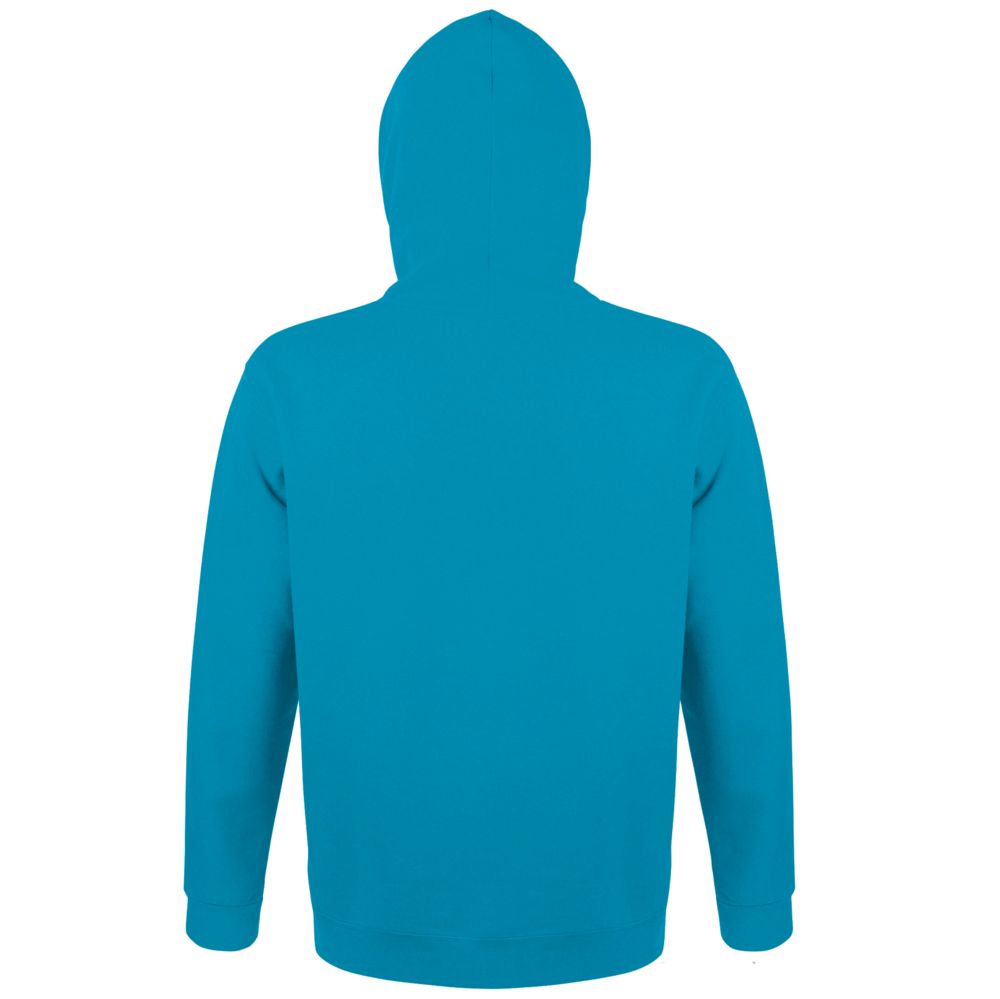 Толстовка с капюшоном Snake 280, бирюзовая / Миниатюра WWW (1000)