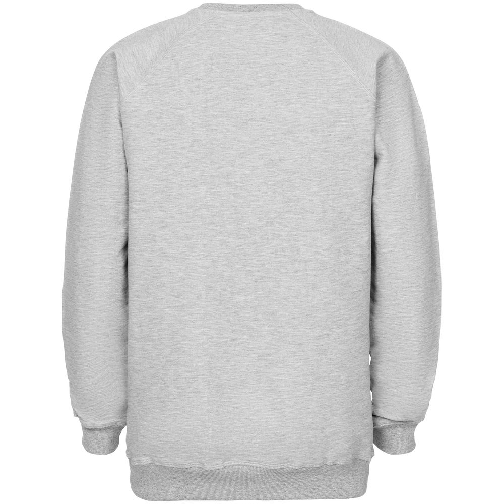 Свитшот мужской Kulonga Raeglan, серый меланж / Миниатюра WWW (1000)