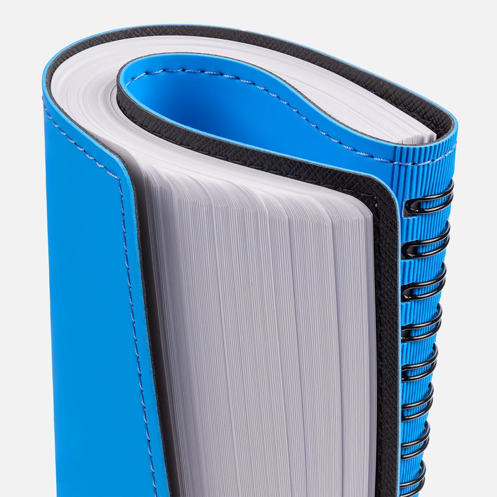 Ежедневник Spring Shall, недатированный, голубой / Миниатюра WWW (1000)