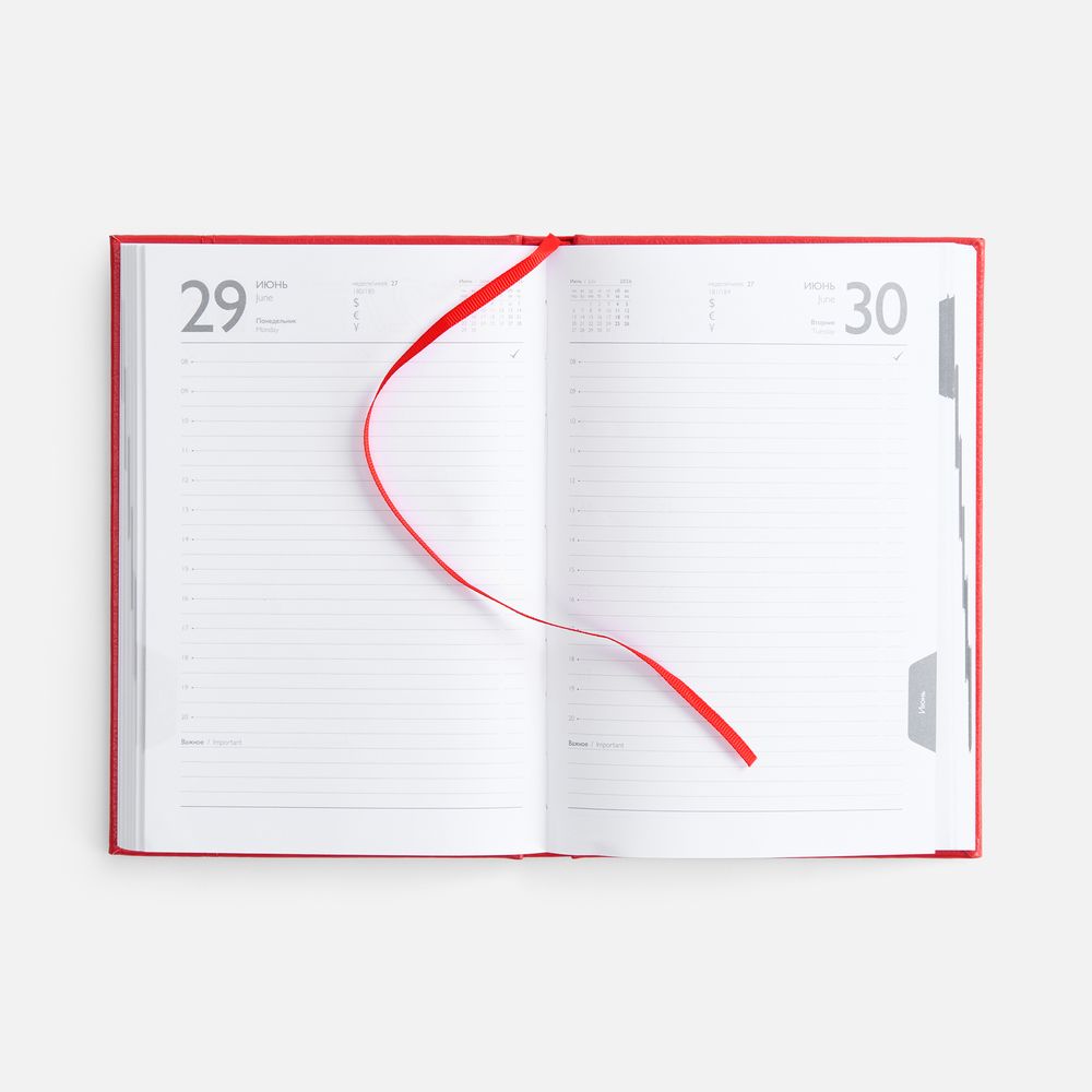 Ежедневник Baza, датированный, красный / Миниатюра WWW (1000)