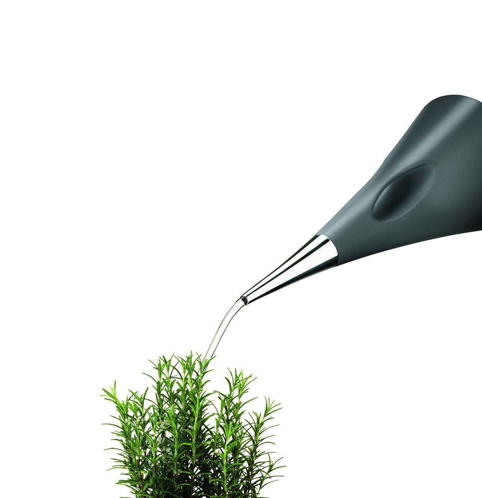 Лейка AquaStar, темно-серая / Миниатюра WWW (1000)