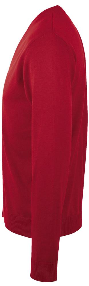 Джемпер мужской Golden Men, красный / Миниатюра WWW (1000)