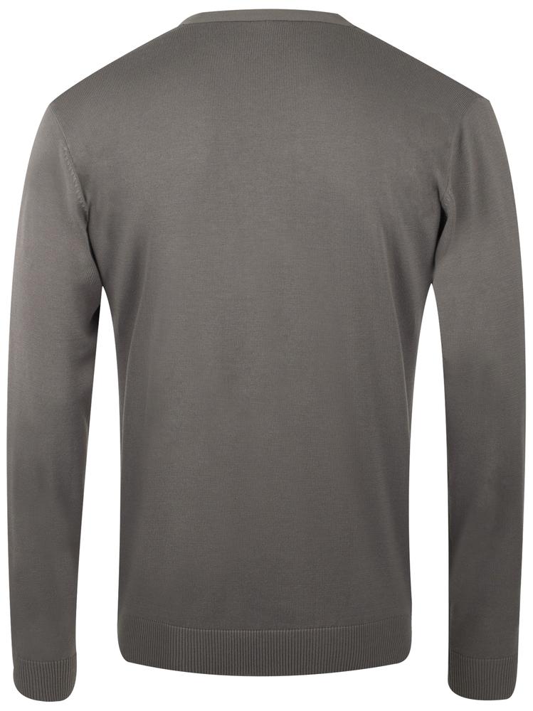 Джемпер мужской Golden Men, серый / Миниатюра WWW (1000)