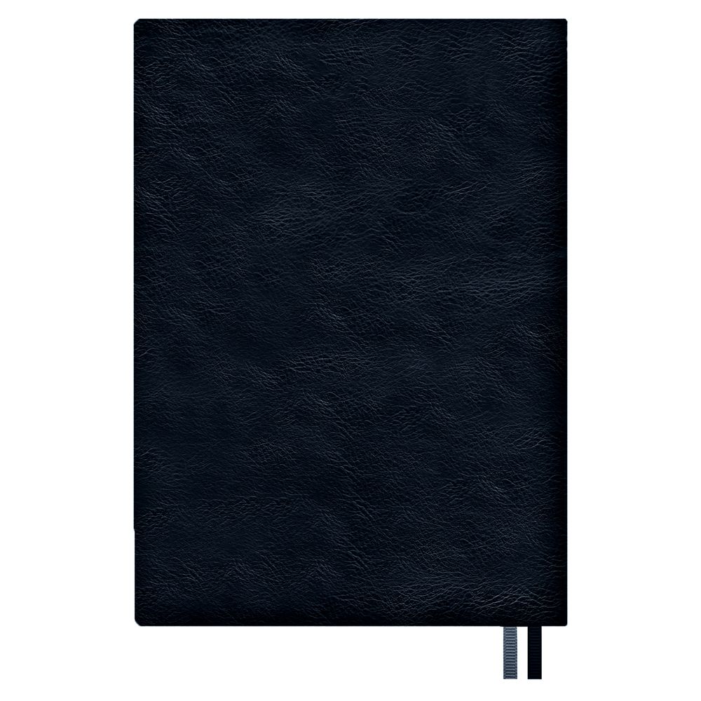 Ежедневник Merida, датированный, синий / Миниатюра WWW (1000)