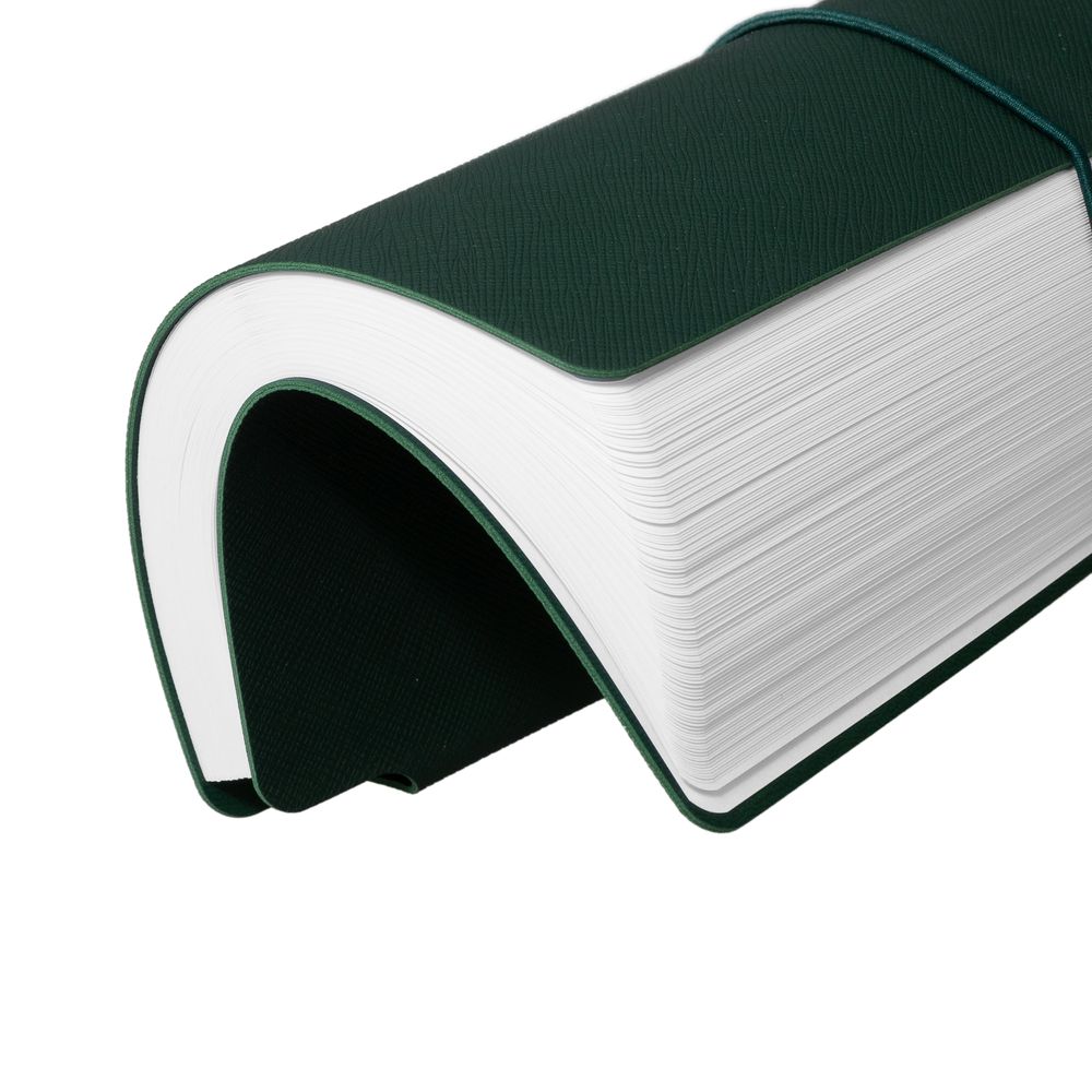 Ежедневник Flexpen Bright, недатированный, зеленый / Миниатюра WWW (1000)