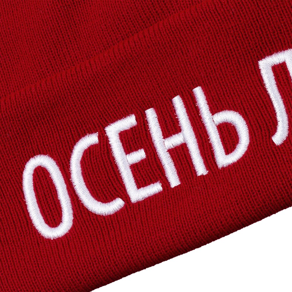 Шапка «Осень лень», красная / Миниатюра WWW (1000)
