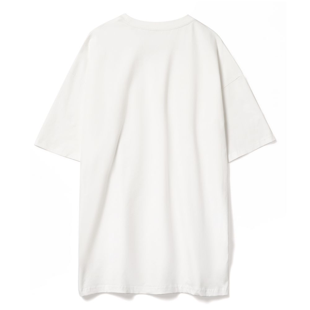 Футболка оверсайз унисекс Big Haul, молочно-белая / Миниатюра WWW (1000)