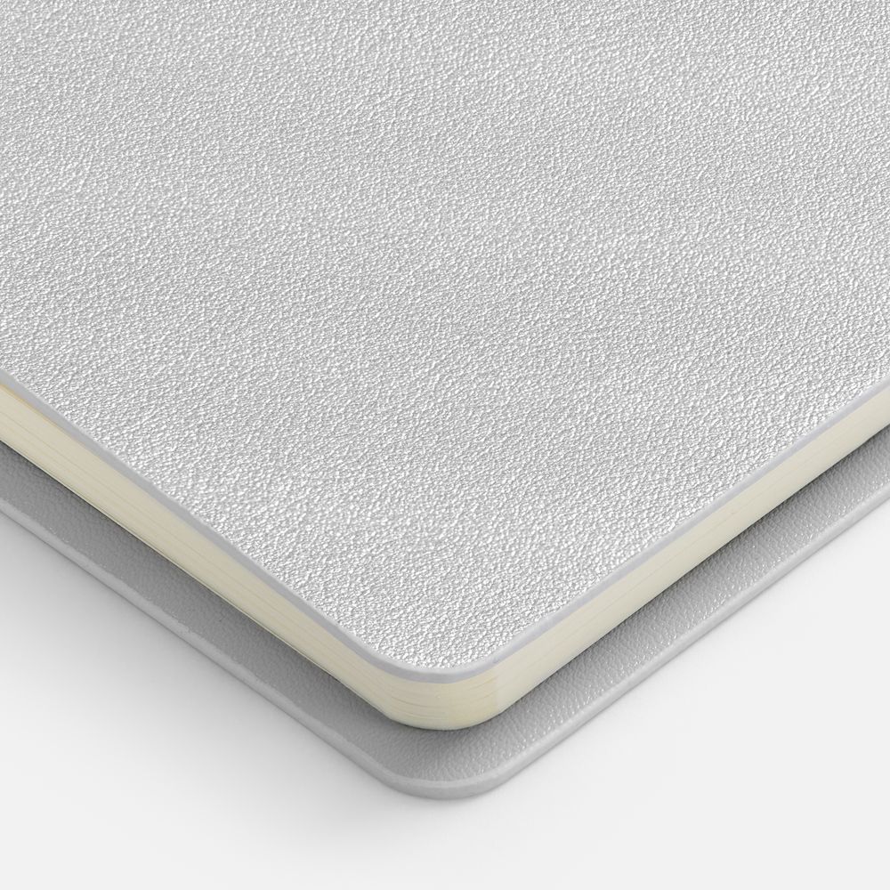 Ежедневник Ringo, недатированный, серебристый / Миниатюра WWW (1000)