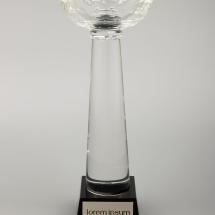 Кубок Cupture, большой / Миниатюра WWW (1000)