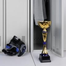 Кубок Awardee, средний, синий / Миниатюра имиджевого (1000)