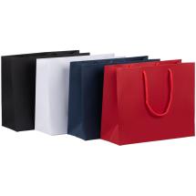 Пакет бумажный Ample Plus S, синий / Миниатюра WWW (1000)