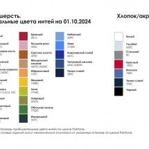 Лонгслив унисекс NovaTee на заказ / Миниатюра WWW (1000)