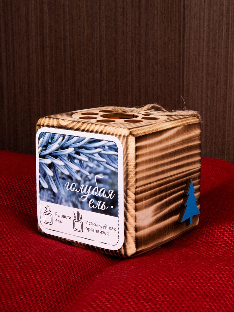 Набор для выращивания с органайзером «Экокуб Burn», ель голубая / Миниатюра имиджевого (1000)