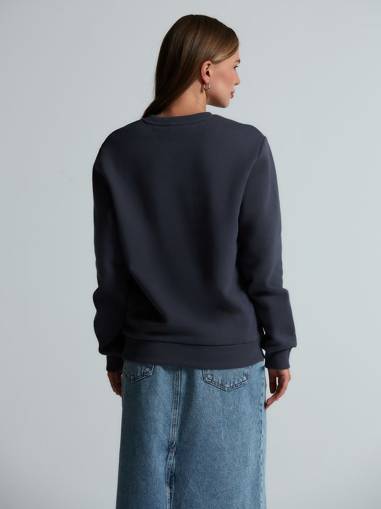 Свитшот Toima Heavy 2.0, темно-серый (графит) / Миниатюра модельного (1000)