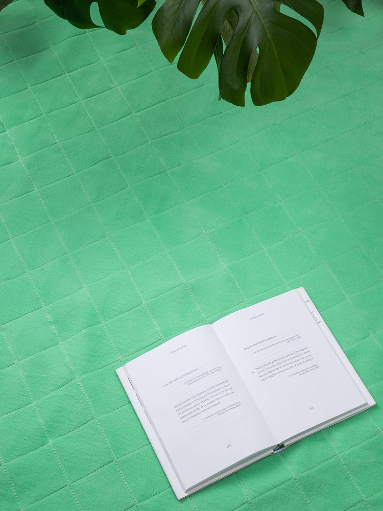 Плед для пикника Soft & Dry 2, светло-зеленый / Миниатюра имиджевого (1000)