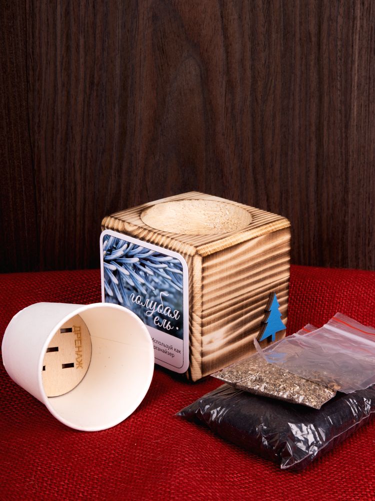 Набор для выращивания с органайзером «Экокуб Burn», ель голубая / Миниатюра имиджевого (1000)