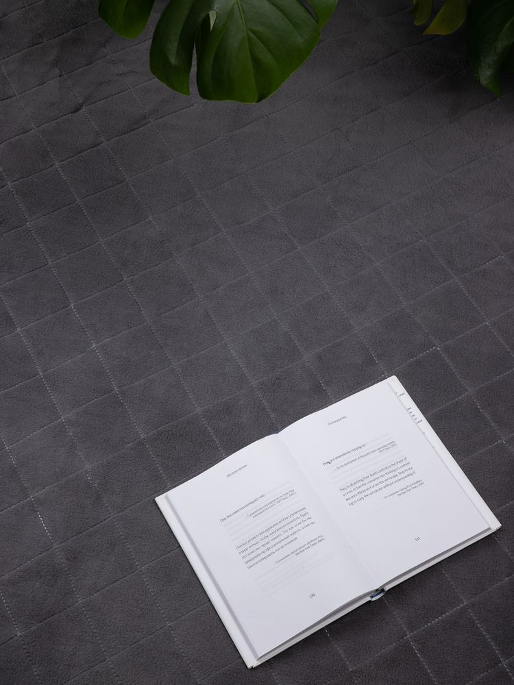 Плед для пикника Soft & Dry 2, серый / Миниатюра имиджевого (1000)