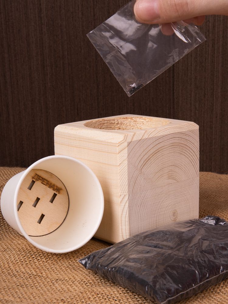 Набор для выращивания «Экокуб», мелисса / Миниатюра имиджевого (1000)