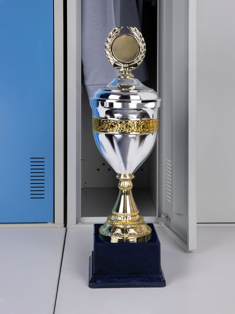 Кубок EnterPrize, серебристый / Миниатюра имиджевого (1000)