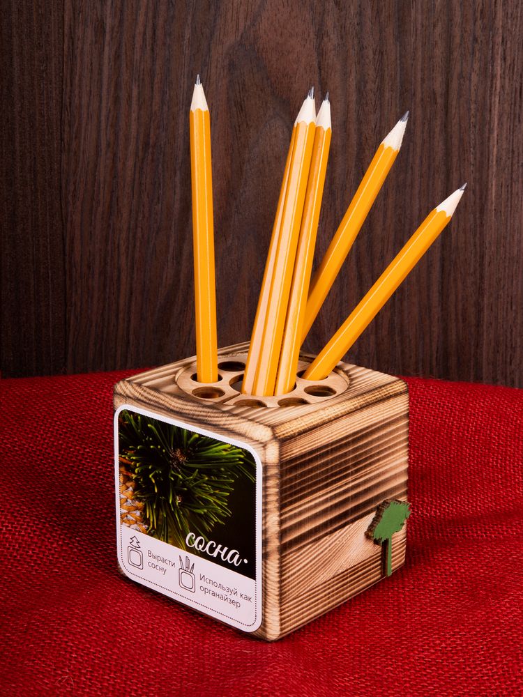 Набор для выращивания с органайзером «Экокуб Burn», сосна / Миниатюра имиджевого (1000)
