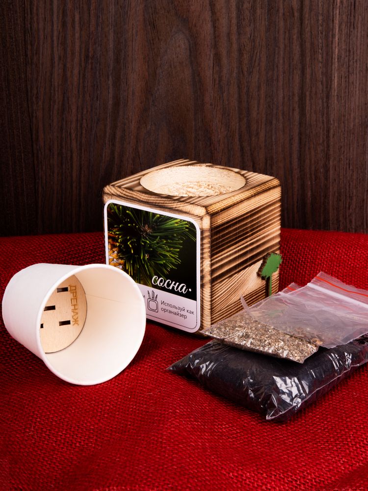 Набор для выращивания с органайзером «Экокуб Burn», сосна / Миниатюра имиджевого (1000)