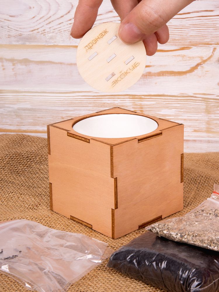 Набор для выращивания «Экокуб Lite», сирень / Миниатюра имиджевого (1000)